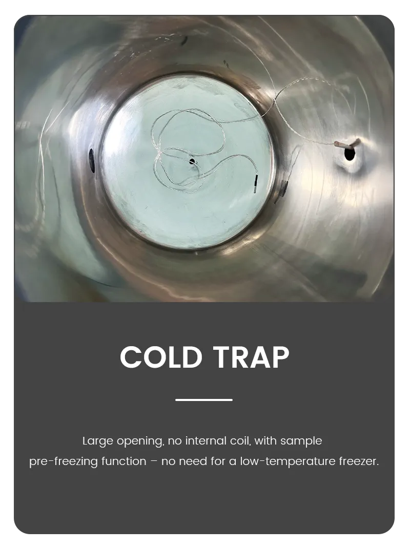 Internal top-down view infographic of a stainless steel cold trap chamber with pre-freezing function inside a vacuum freeze dryer system.