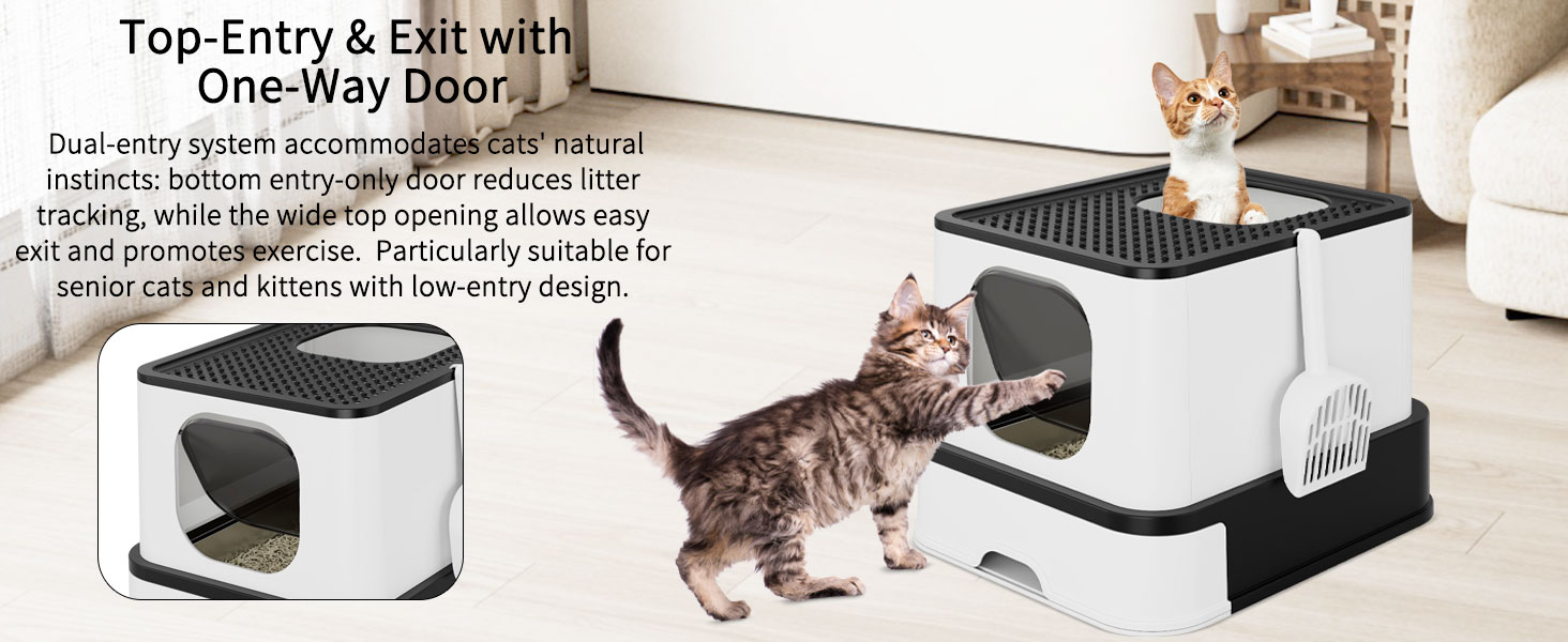 cat litter box