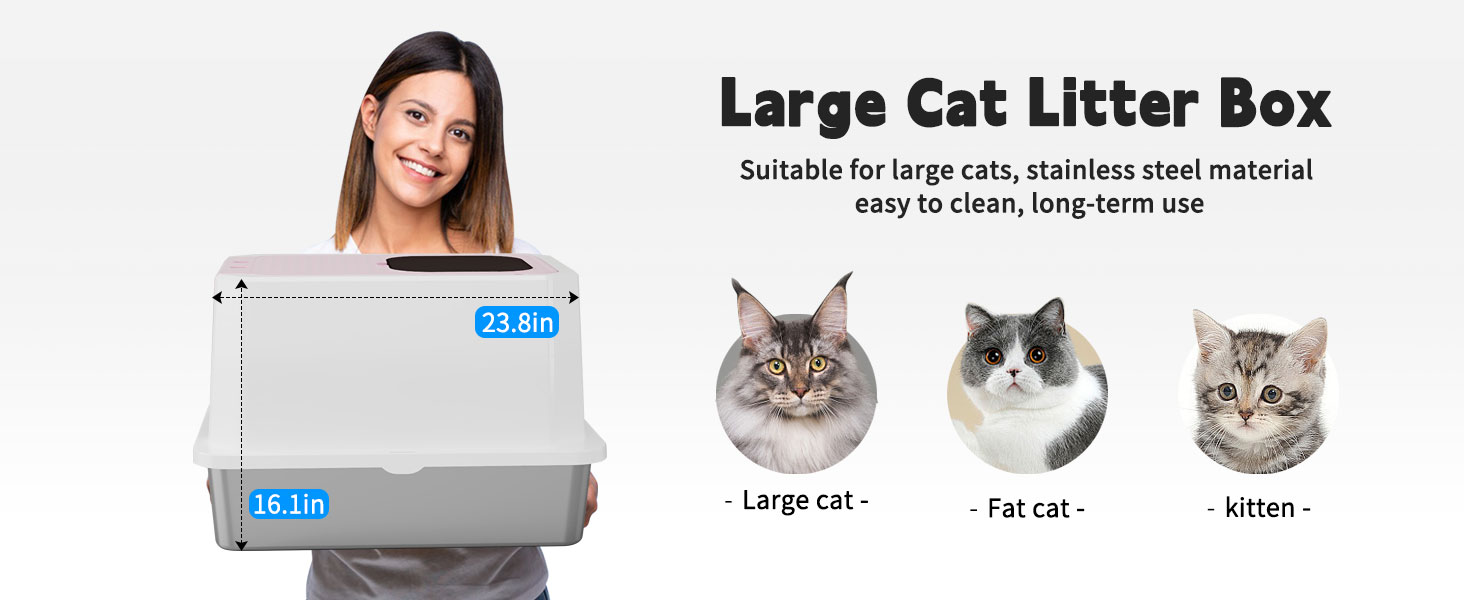 cat litter box