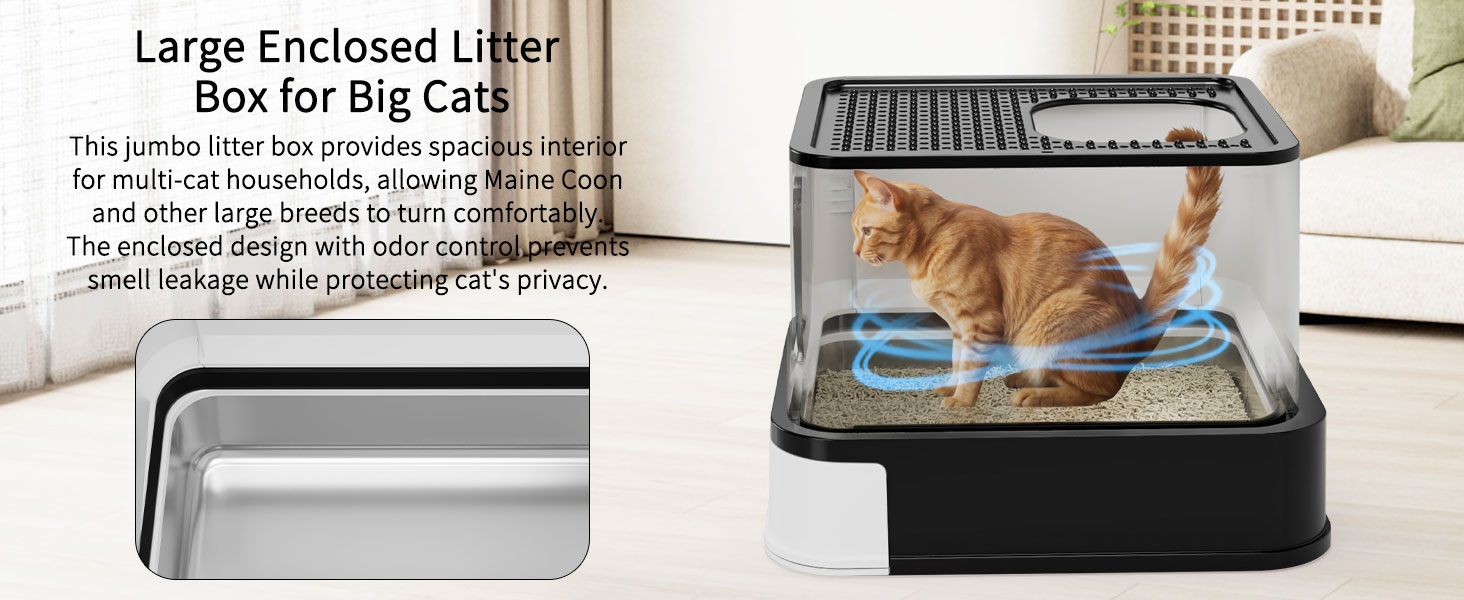 cat litter box