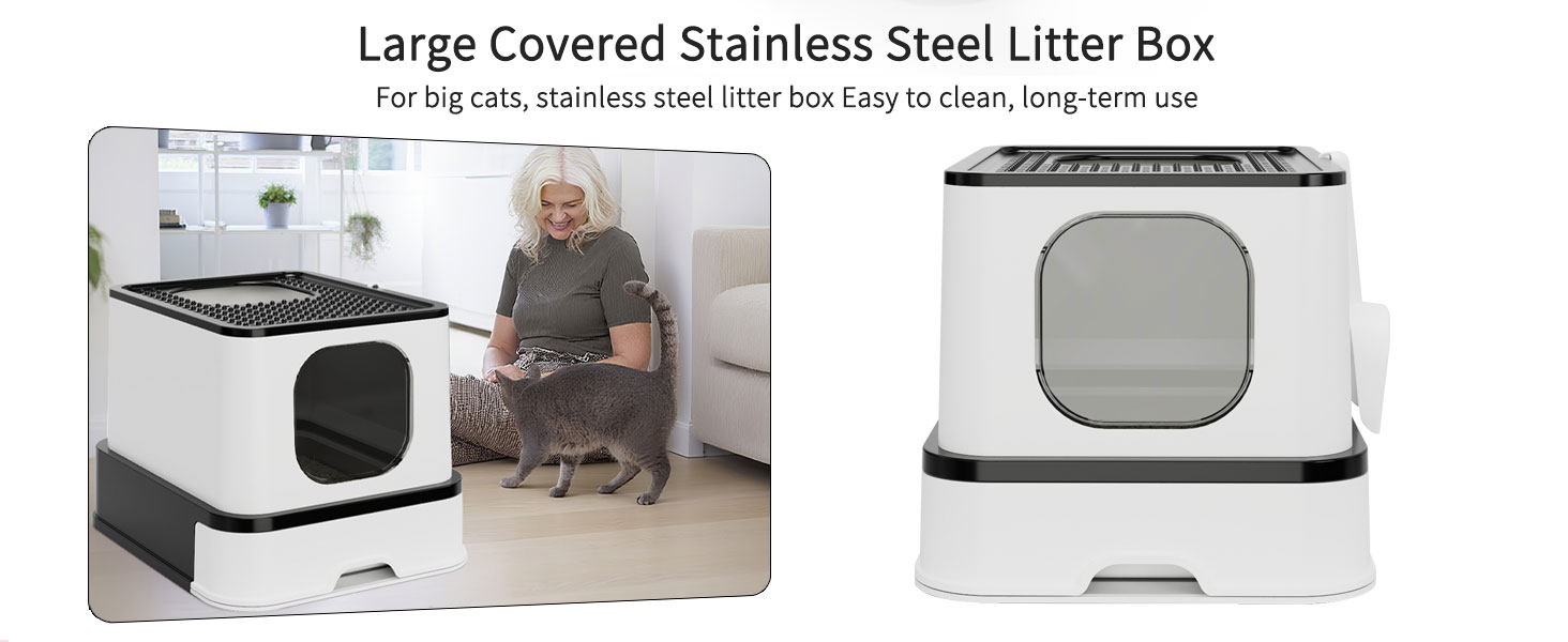 cat litter box