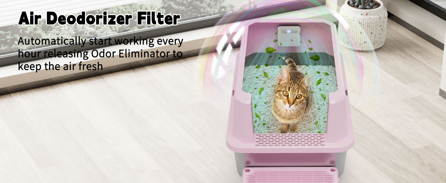 Open-Top Litter Box