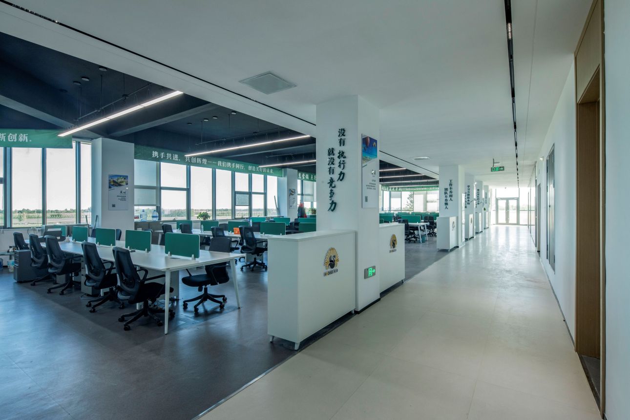 Real-life photos of the Hodias office area