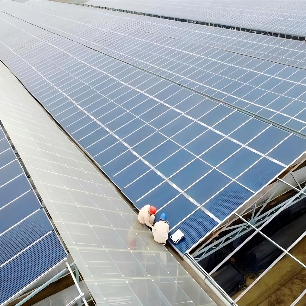 Professional Custom Photovoltaic Greenhouse Construction