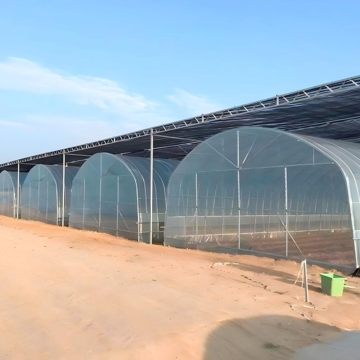 Wind And Snow Resistant Multi-Span Film Greenhouse