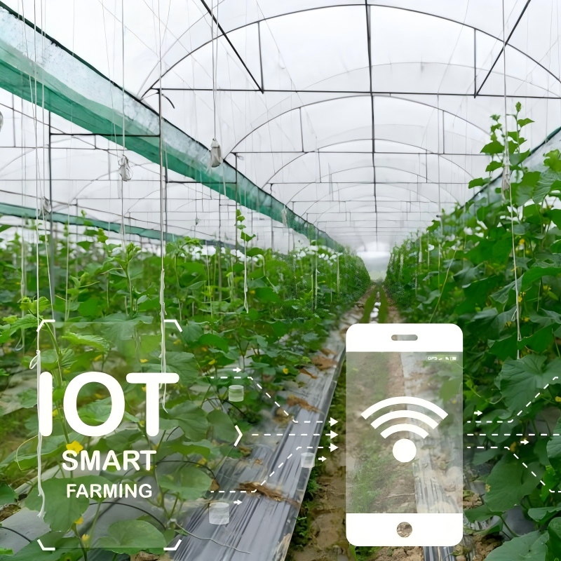 Internet of Things