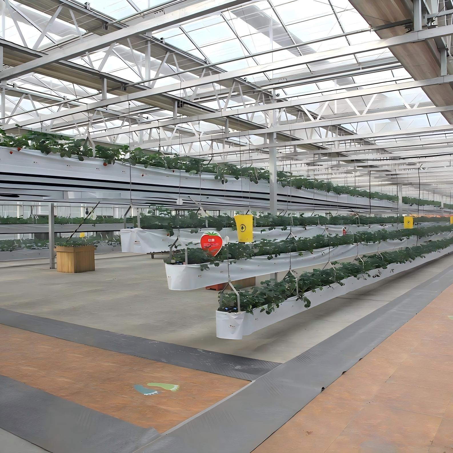 Glass Greenhouse for Scientific Research