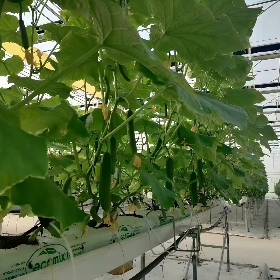 Planting trough