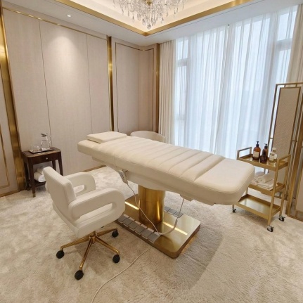 Electric Beauty Bed 3 Motors Beauty Bed Electric aesthetic facial bed