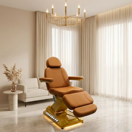 Electric beauty chair Adjustable spa chair Massage chair