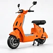 HGQ1 1000W Electric Scooter with NFC Access and Disc Brakes