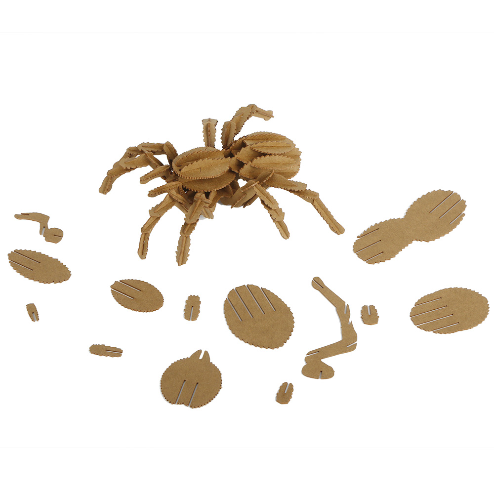 3D Tarantula Cardboard Puzzle Model, DIY Spider Kit for Adults, Exotic Pet Lover Gift DIY Craft Kit, Tarantula Keeper Gift, Desktop Tarantula Model, No Glue Cardboard Spider Puzzle, Eco-friendly Tarantula Craft Kit, 3D Arachnid Puzzle for Desk Decor, Birthday Gift for Spider Lover, Christmas Gift for Tarantula Enthusiast, Handmade Spider Decor Gift, Small 3D Tarantula Puzzle for Shelf, DIY Model Building Kit for Beginners, Educational Cardboard Arachnid Puzzle, Relaxing DIY Craft Project for Adults, Tarantula Figurine DIY Kit, 3D Puzzle for Stationery Gift Toys Shop, Wholesale Tarantula Craft Kit for Retail, Oddity Collector Gift, Curio Cabinet Display Piece