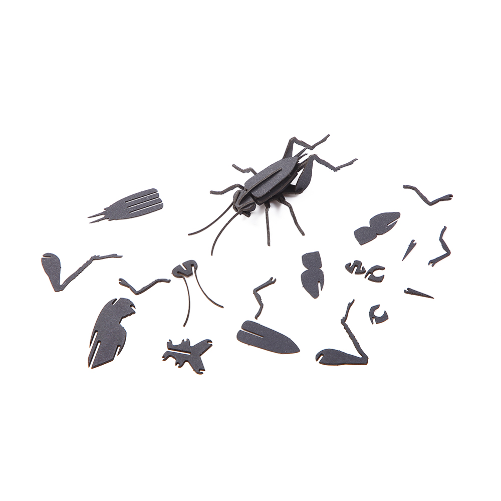 3D Cricket Cardboard Puzzle Model, DIY Cricket Kit for Adults, Lucky Cricket Housewarming Gift, Insect Lover Gift DIY Craft Kit, Nature Enthusiast Gift, Desktop Cricket Model, No Glue Cardboard Insect Puzzle, Eco-friendly Cricket Craft Kit, 3D Insect Puzzle for Desk Decor, Good Fortune Gift for New Home, Handmade Cricket Decor Gift, Small 3D Cricket Puzzle for Shelf, DIY Model Building Kit for Beginners, Educational Cardboard Insect Puzzle, Relaxing DIY Craft Project for Adults, Cricket Figurine DIY Kit, 3D Puzzle for Stationery Gift Toys Shop, Wholesale Cricket Craft Kit for Retail, Auspicious Gift for New Beginnings