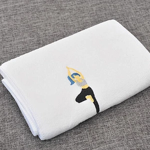 Hot Sell Outdoor Sport Beach Towel Health Microfiber Travel Mountaineering Towel Customized Logo Company Gift