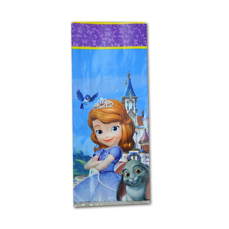 PE plastic garment shopping bag
