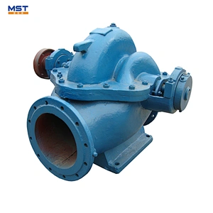 Double suction farm irrigation lift water pump 200 l/min