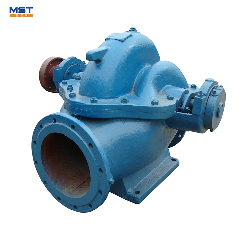 Double suction farm irrigation lift water pump 200 l/min