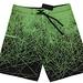 Printed Holiday Summer Beach Shorts