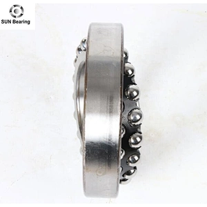 High Precision Self-Aligning Ball Bearing 1214TV