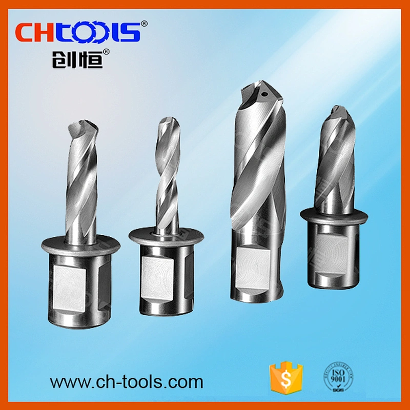 Rail cutters with exchangeable cutting tools
