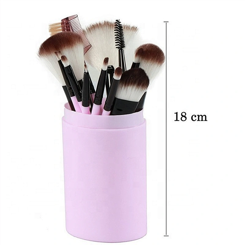 Private Label Fashionable Pink 12pcs Cosmetic Makeup Brush Set With Makeup Holder
