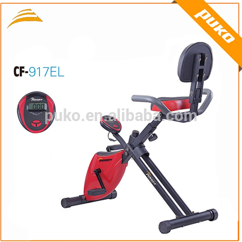 CF-917EL MAGNETIC MOTOR FOR BIKE WITH 2.5KGS FLYWHEEL
