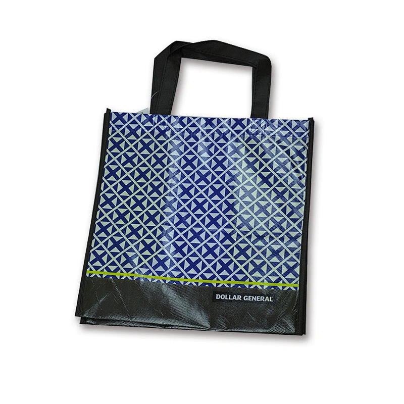 China promotional laminated pp non woven shopping plastic saree bag