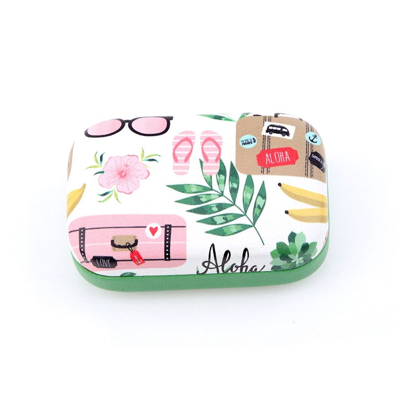 Flamingos Fruit Stria Eyeglasses Case Contact Lens Cases