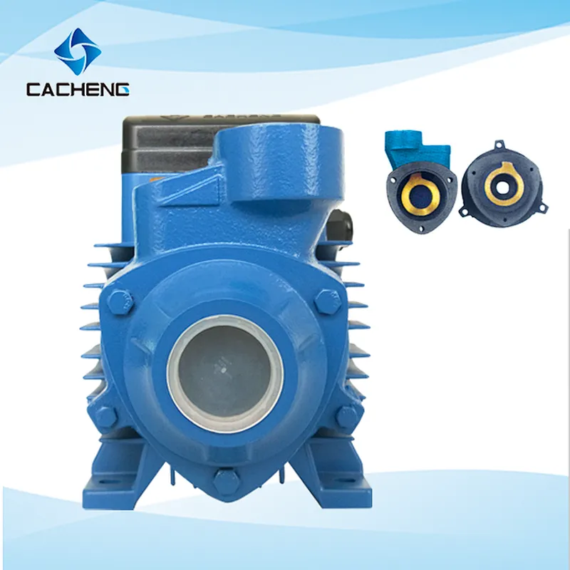 QB-60 Peripheral Pumps Surface Pump