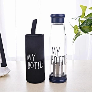 Factory Direct Wholesale Glass Bottle 550ml Double Wall Glass Travel Mug Outdoor Sports Water Glass Cup with Infuser