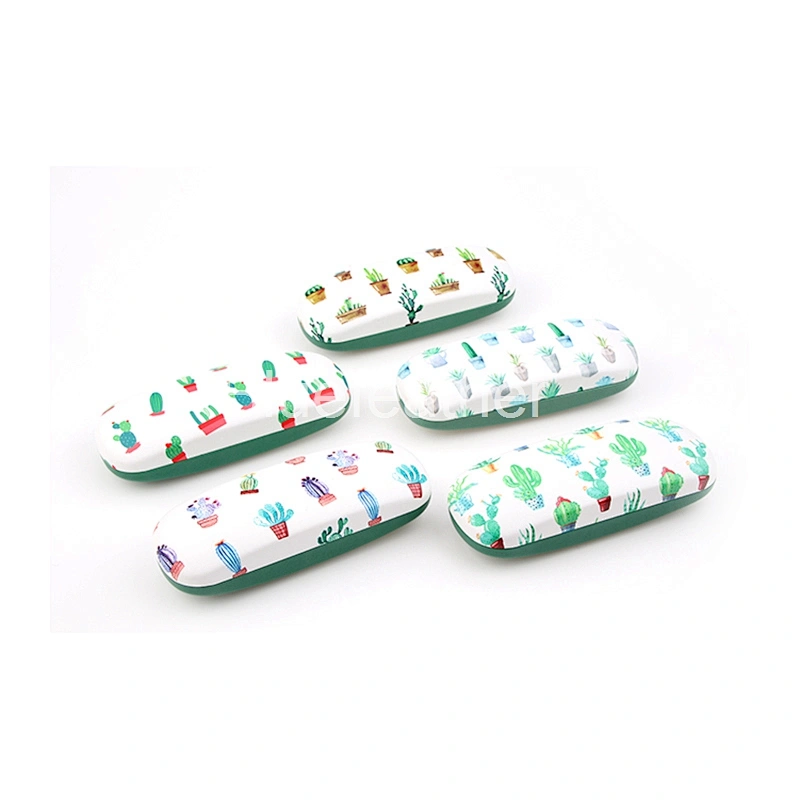 Potted Colorful Cactus Hard Spectacle Case for Children