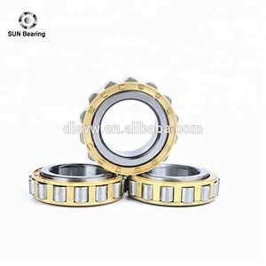 Hot Sale Cylindrical Roller Bearing RN207 In Stock