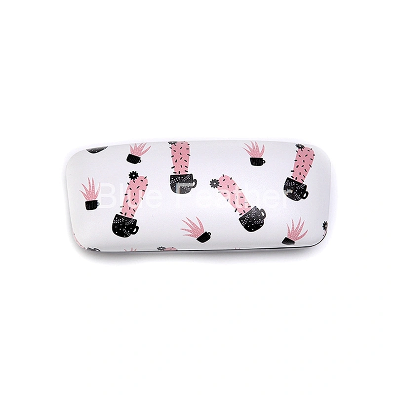 Durable Cactus Hard Shell Spectacle Case for Daily Protection