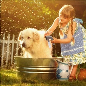 HOT TV SHED NEW PAL INCREDIBLE CORDLESS PET VAC GROOMS DOG CAT HAIR