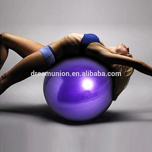 Gym Yoga Exercise Ball 65CM Balance Fitness
