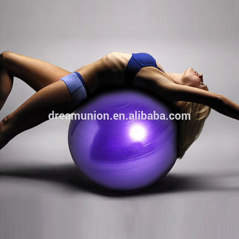 Gym Yoga Exercise Ball 65CM Balance Fitness