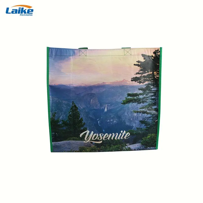 Beautiful pp woven grocery bag