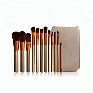Private Label 12pcs Mini Makeup Brush Set Travel With Tin Box