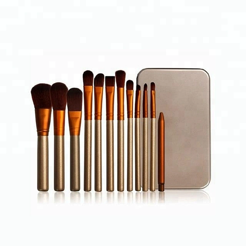Private Label 12pcs Mini Makeup Brush Set Travel With Tin Box
