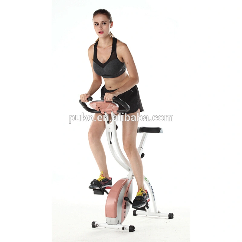 Factory Cheaply New Style 3KG Heavy Flywheel Exercise Magnetic Bike CF-917FR