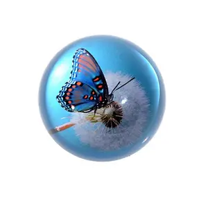 Hemisphere Crystal Glass Dome Paperweight for Home Decoration