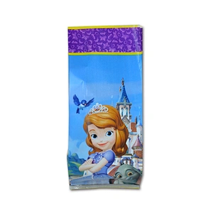 PE plastic garment shopping bag