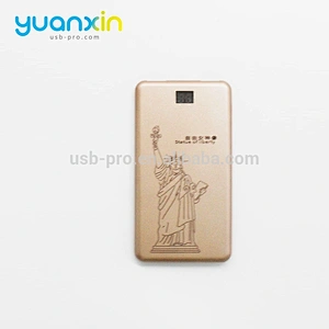 Custom LED Logo 5000mAh Power Bank