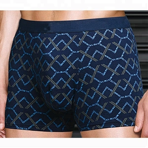 European Style Printed Pattern Men Boxer Plus Size Boxer Shorts