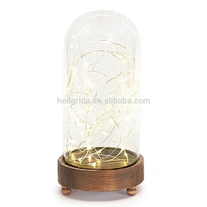 Mini LED String Lights in Glass Dome with Wooden Base