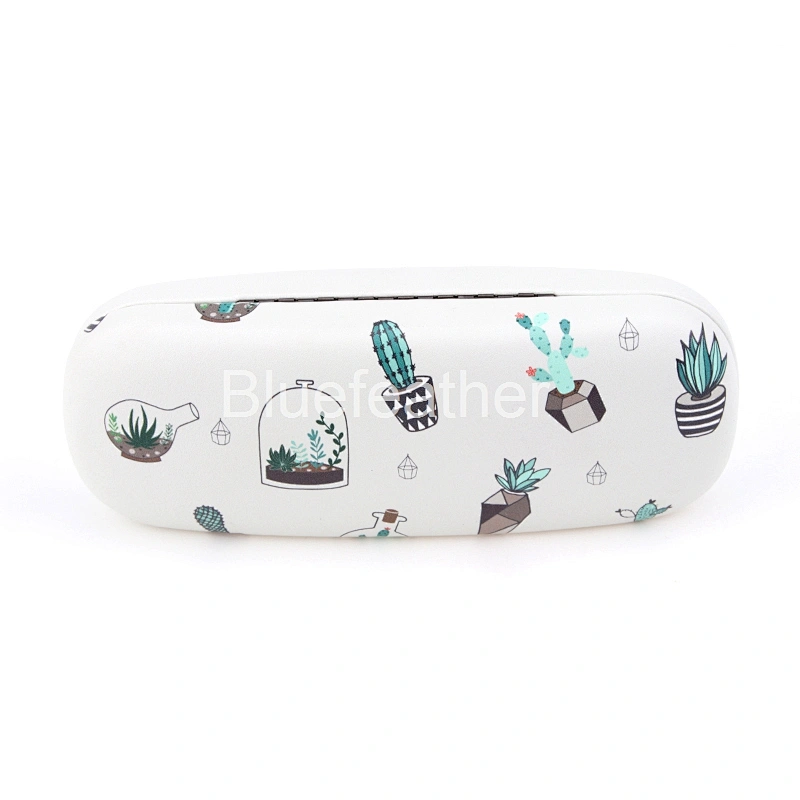 Blue Cactus Bonsai Ball Cactus Hard Optical Case for Students