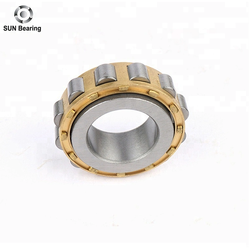 RN204 Cylindrical Roller Bearing