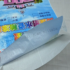 Sell well bopp laminated and printed plastic pp woven cement bag for outer wall putty powder,dry mortar