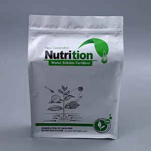 Stand cube PE bag for snack packaging
