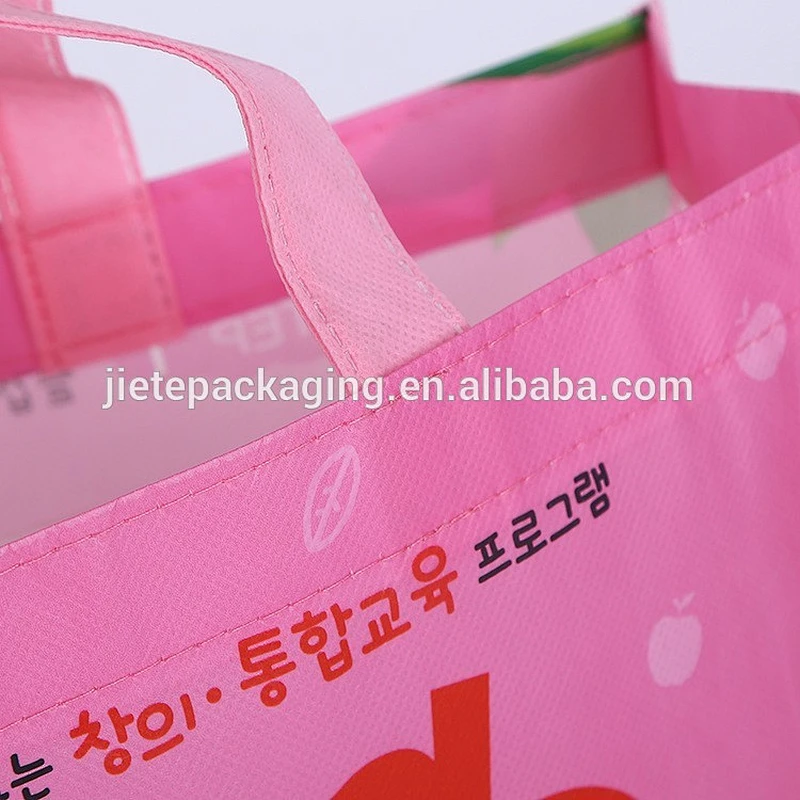 Cartoon design bottom gusset handle non woven bag style for shopping